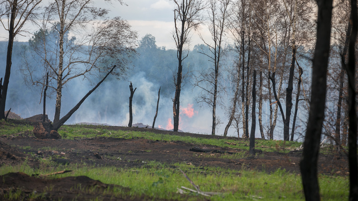«Если есть дым — тушите»: Медведева попросили изменить правила ликвидации пожаров в крае