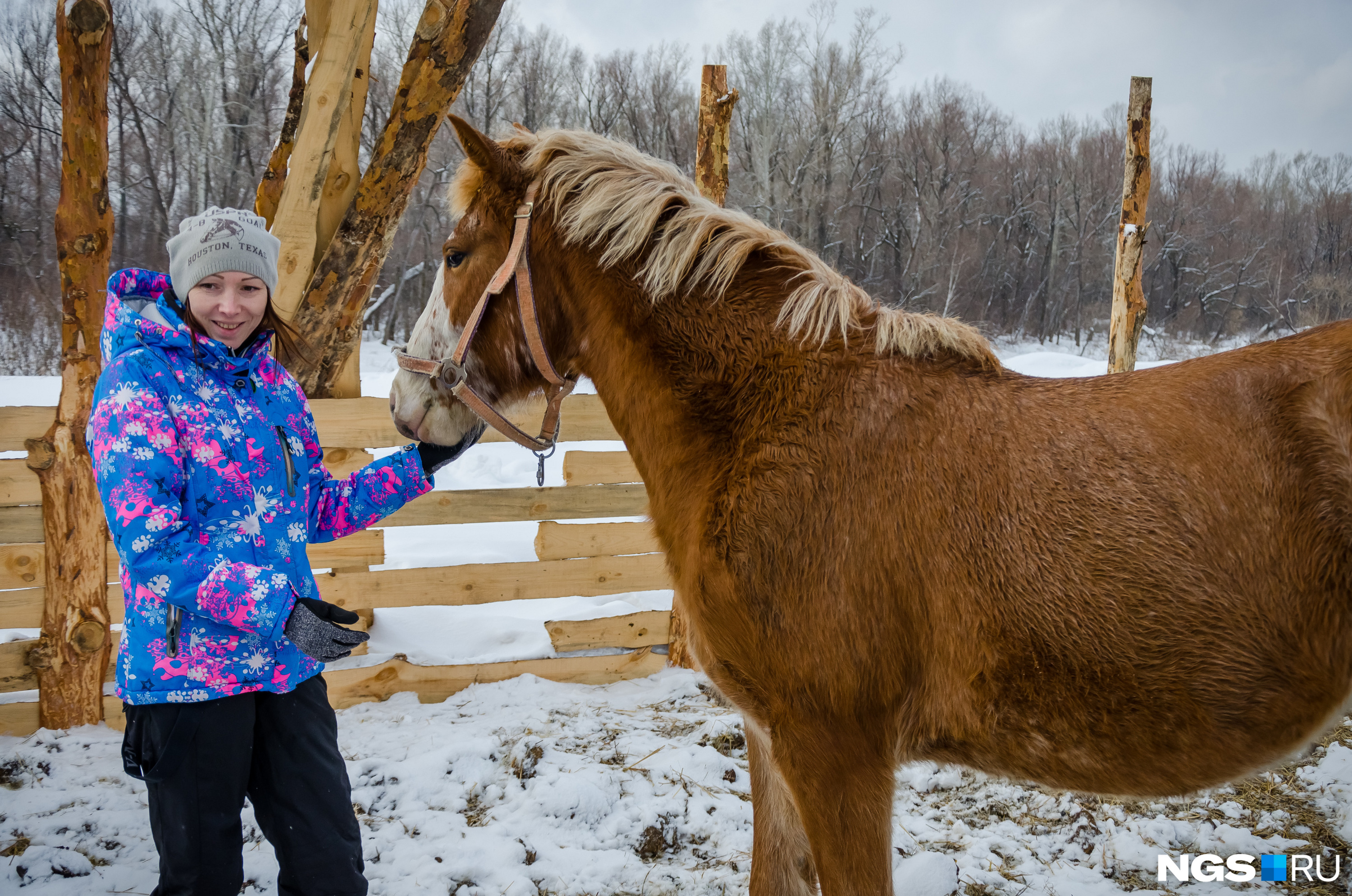 В Новосибирске Майя 7 лет занималась верховой ездой