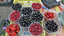 Клубничка от бабушки: рассказываем, где в Челябинске продают ягоды и сколько они стоят