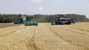 Поставить один из 40 миллионов тонн зерна: Сергей Пугин озвучил задачи по экспорту для Зауралья