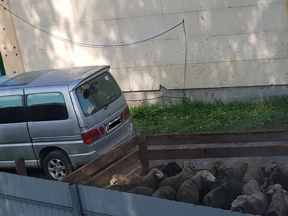 Баранов начали резать во дворе дома на улице Стрелковой с 7:00
