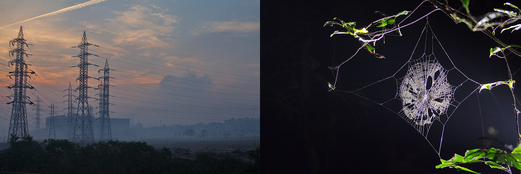 По словам фотографа, в Индии город и природа тесно связаны