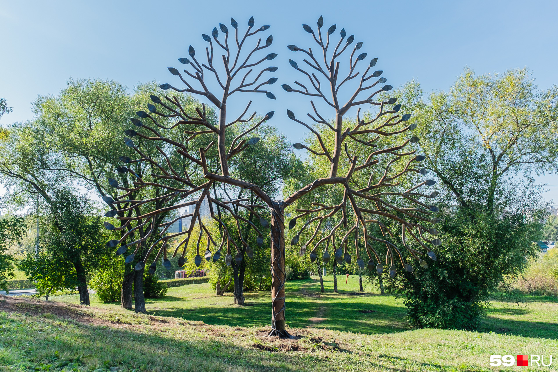 Парк Швейцария железное дерево