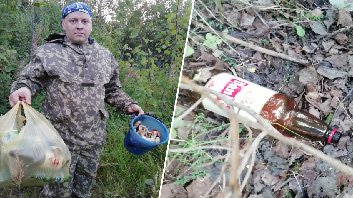 «Совести у вас нет!»: ярославец собрал мусор, брошенный грибниками в лесу