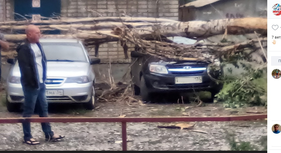 Дерево накрыло сразу два автомобиля