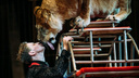 «Секрет успеха — любовь к животным»: Виталий Смолянец рассказал о пушистых артистах цирка