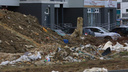 Текслер недоволен низкой собираемостью штрафов в Челябинске за мусор и парковку на газонах