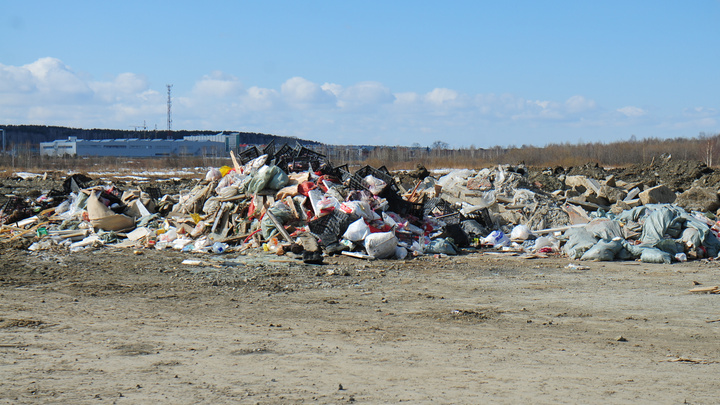Не хватает 6 тысяч контейнерных площадок: Куйвашев отчитал мэров за «мусорные» провалы