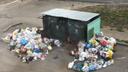 Мусорные войны: кто саботировал вывоз отходов из ярославских дворов