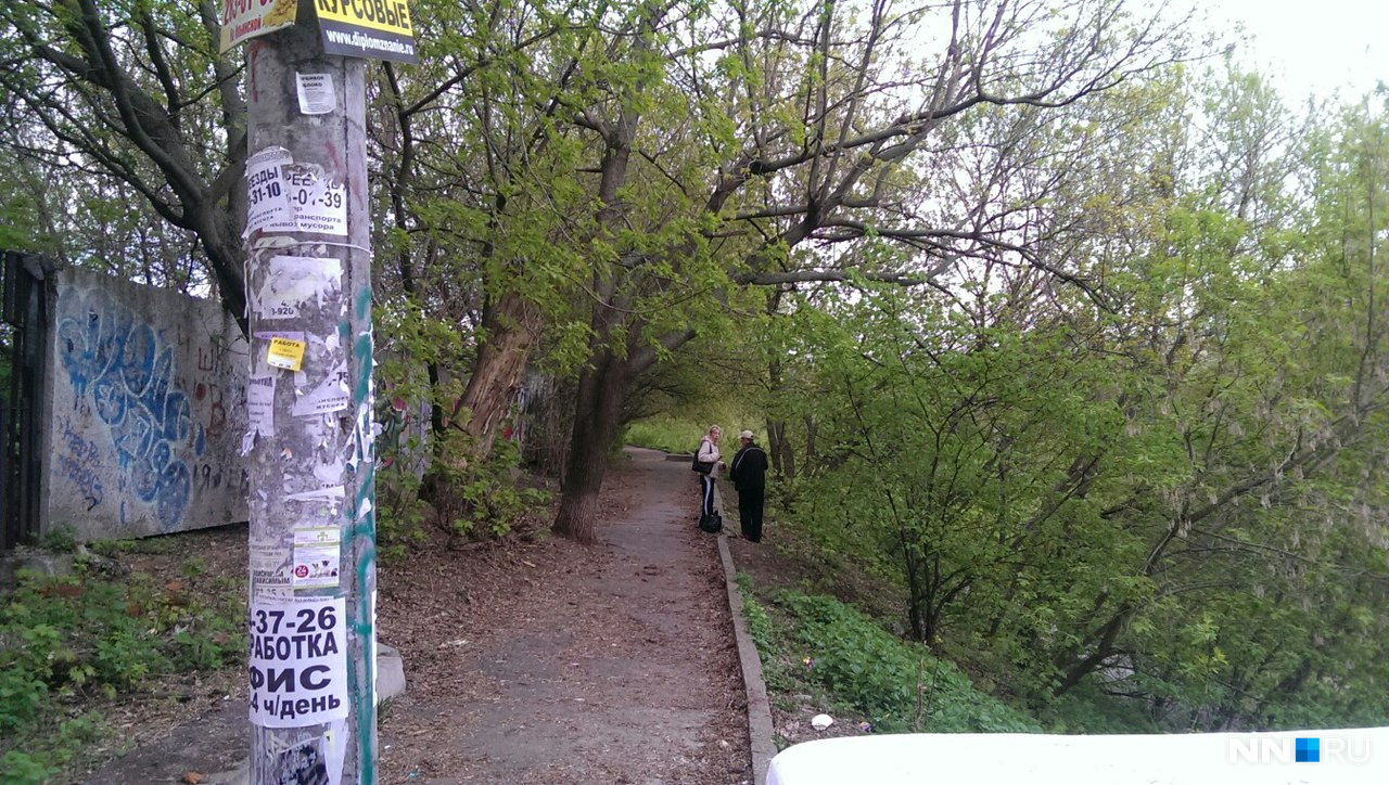 Почаинский овраг парк. Овраг рагоженского парка. Почаинский овраг. Почаинский овраг на карте. Почаинский овраг Нижний Новгород на карте.