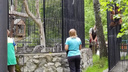 Видео: из Новосибирского зоопарка сбежал кошачий лемур