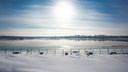 Холода уходят: в Новосибирск возвращается оттепель