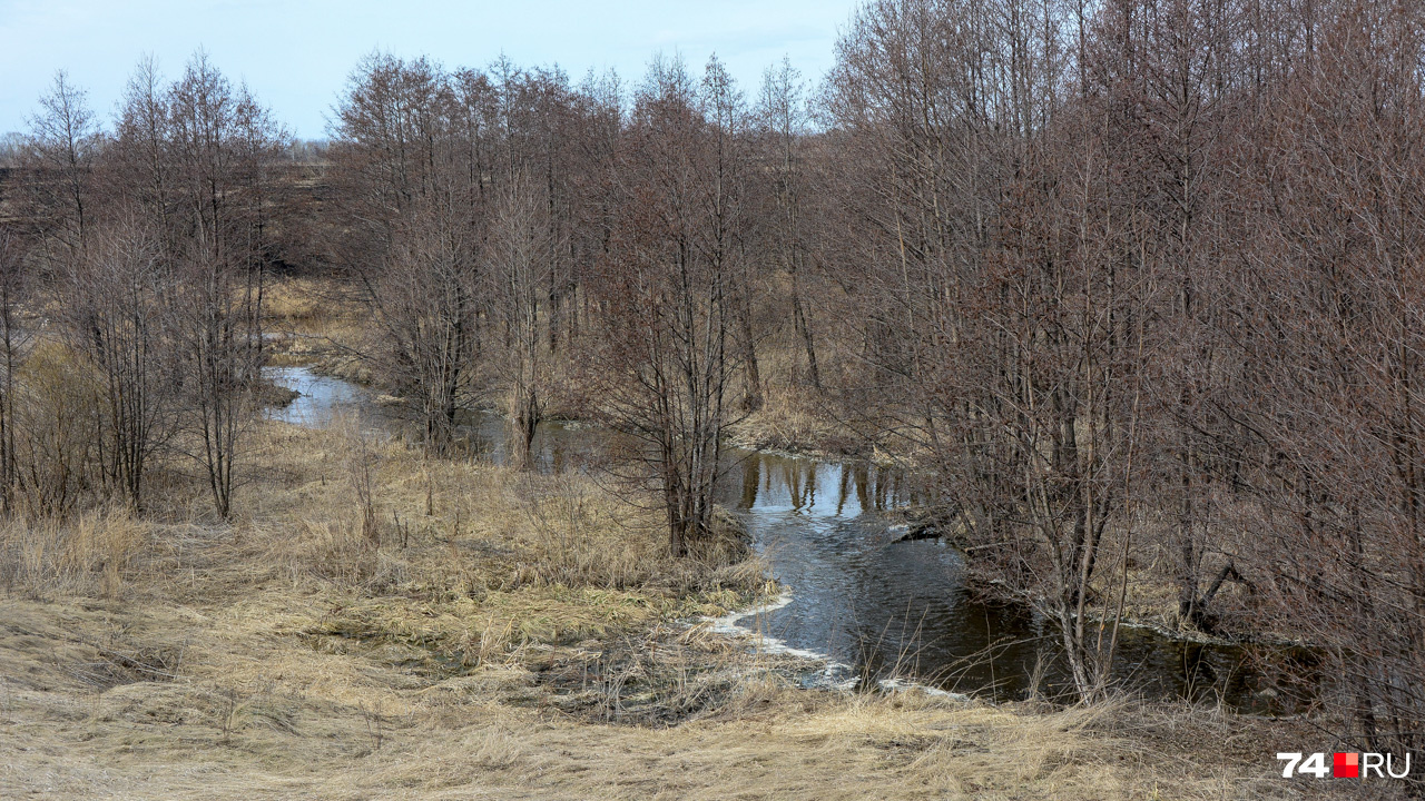 Большую часть года Теча напоминает ручей — сброс воды в неё теперь ограничен