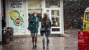 К Новосибирску снова идёт снег: синоптики рассказали, когда изменится погода