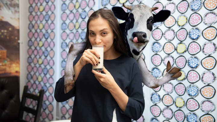 Коровы страдают, люди толстеют: почему стало модно быть против молока
