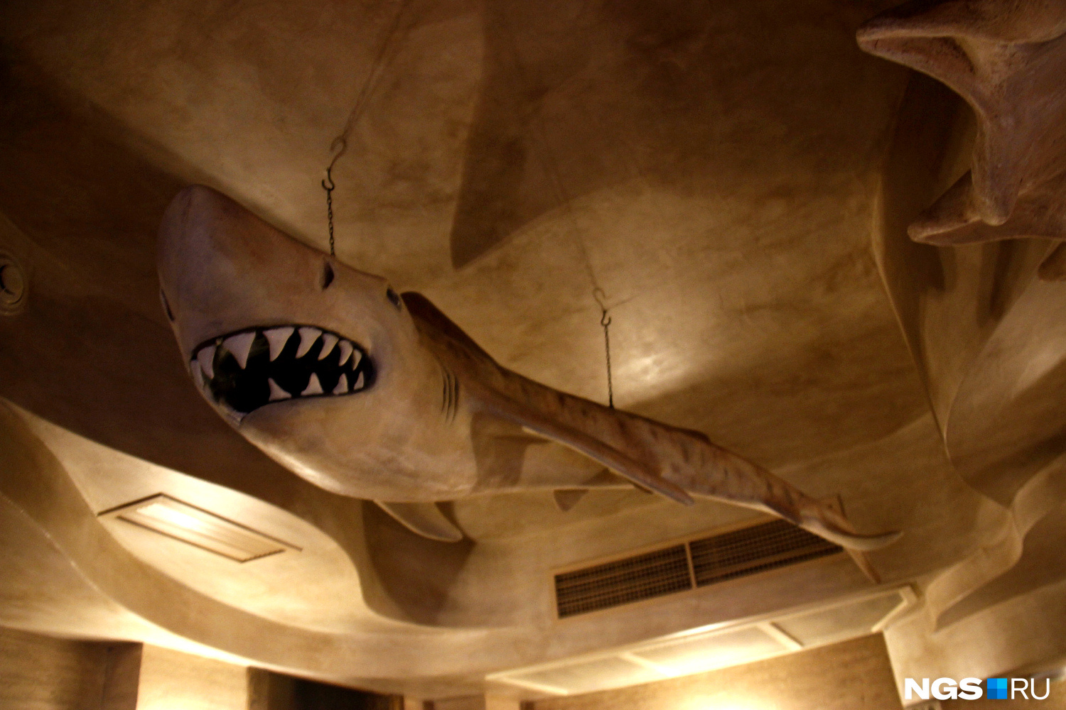 Фигура акулы под потолком осталась от прежнего ресторана