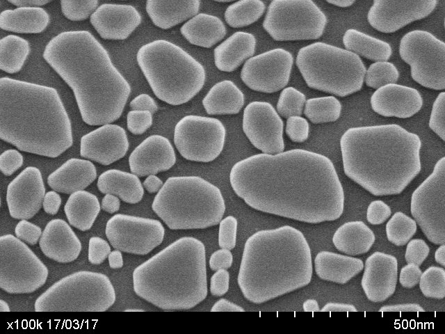Гибридные нанокристаллы Au-Fe со
сканирующего электронного микроскопа