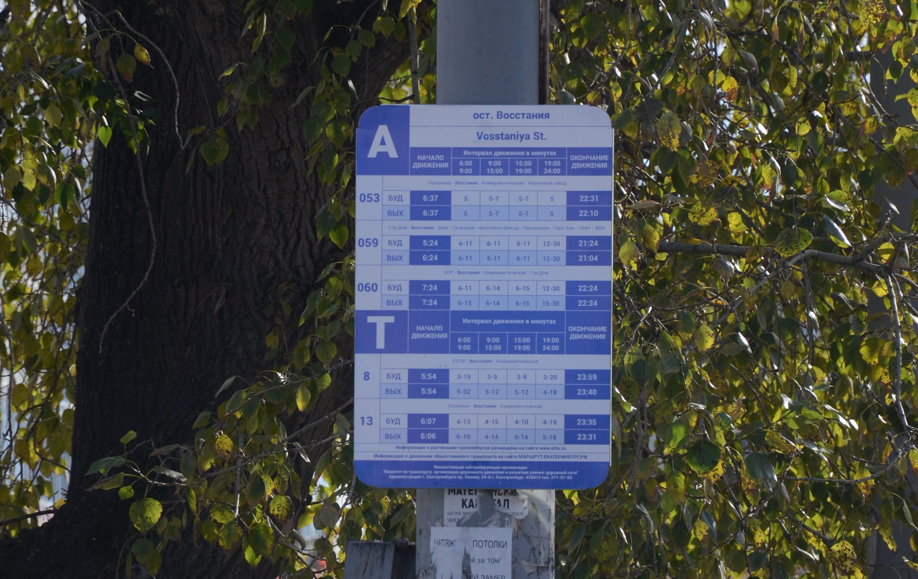 Вот такие таблички в этом году появились на многих остановках города. Но это не гостовские знаки, и они не запрещают водителям парковать автомобили там, где останавливаются автобусы и троллейбусы 