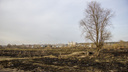 Горела Затулинка и ОбьГЭС: по Новосибирску прокатилась серия пожаров из-за сухой травы