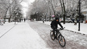 «Проблему пробок все равно не решим»: в Ростове к 2020 году построят велодорожки вдоль Темерника