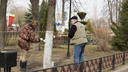 «Засело в умах чиновников»: в Ярославле деревья покрасят за бюджетные деньги. И это пустая трата
