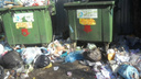 Горы мусора и крысы: с контейнерных площадок во дворах челябинцев перестали убирать мусор