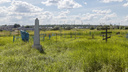 В Волгограде придумают областной тубдиспансер на заброшенном кладбище за 90,8 миллиона рублей