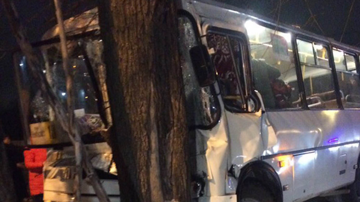 14 пострадавших. В Выксе автобус врезался в дерево