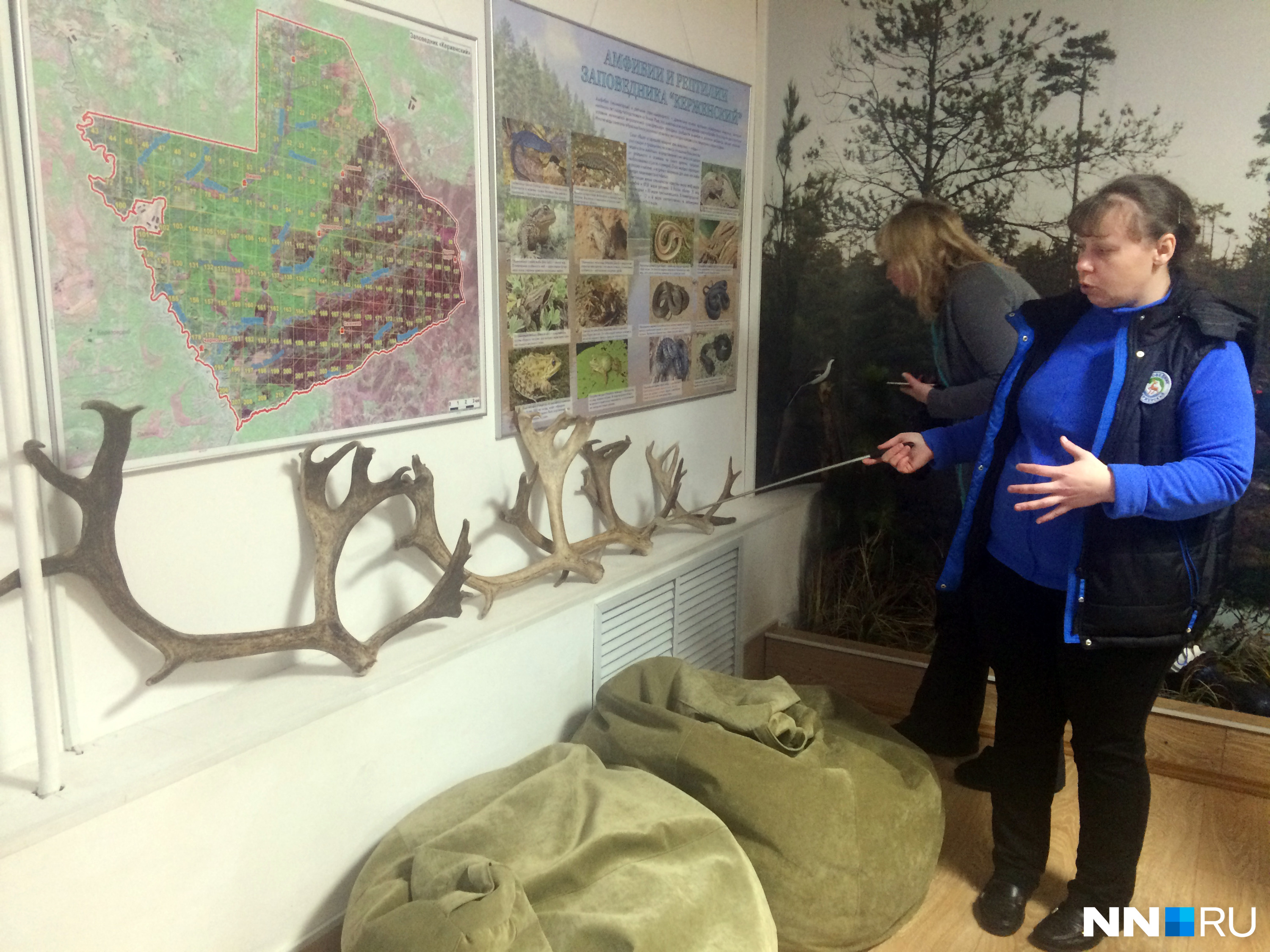 А это рога северного оленя Игната, объясняет Ольга Гореловская. Игнат со своей семьей живет в вольере рядом с экоцентром. Самые большие рога он сбросил в конце декабря