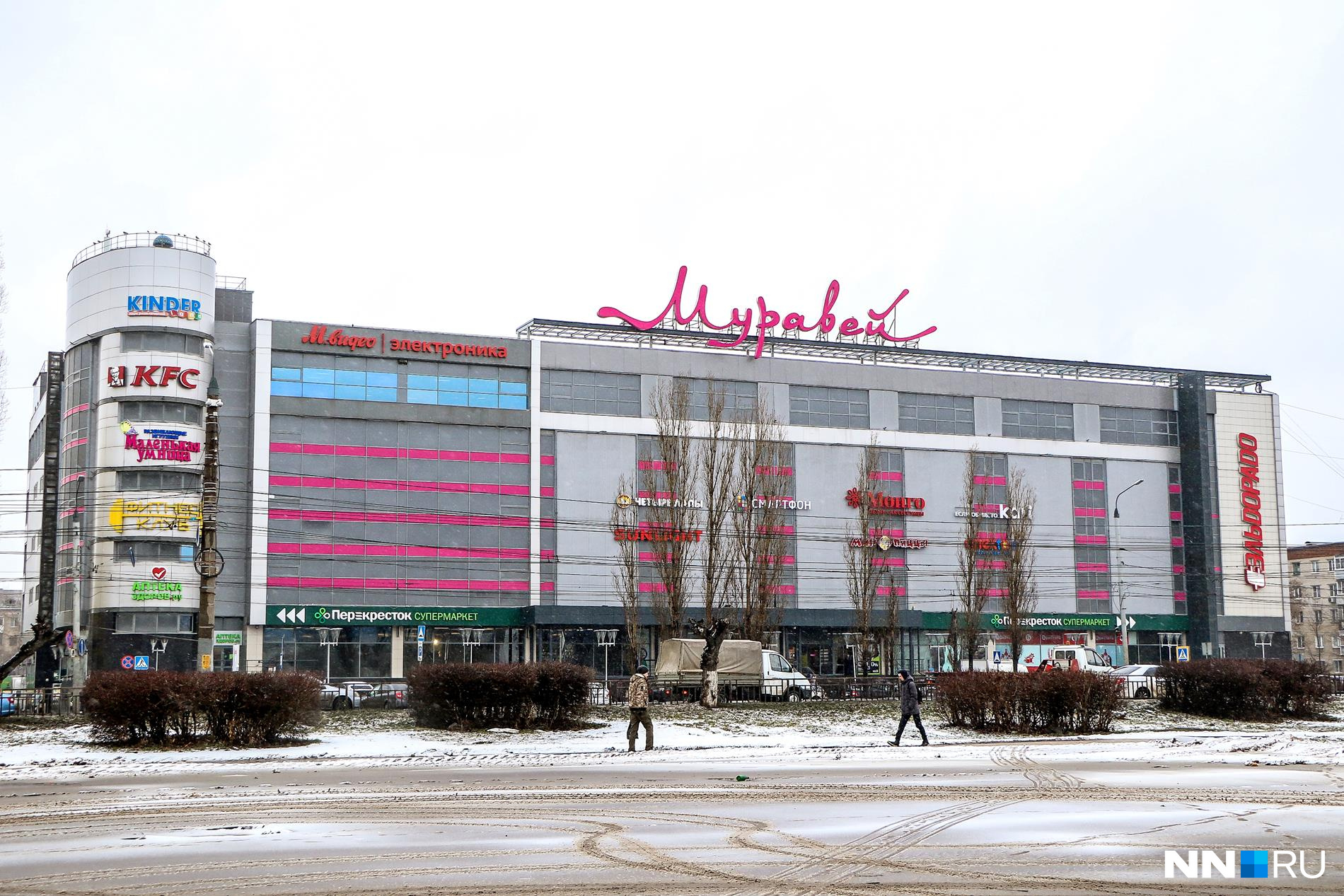 ТЦ «Муравей» ТЦ «Муравей»