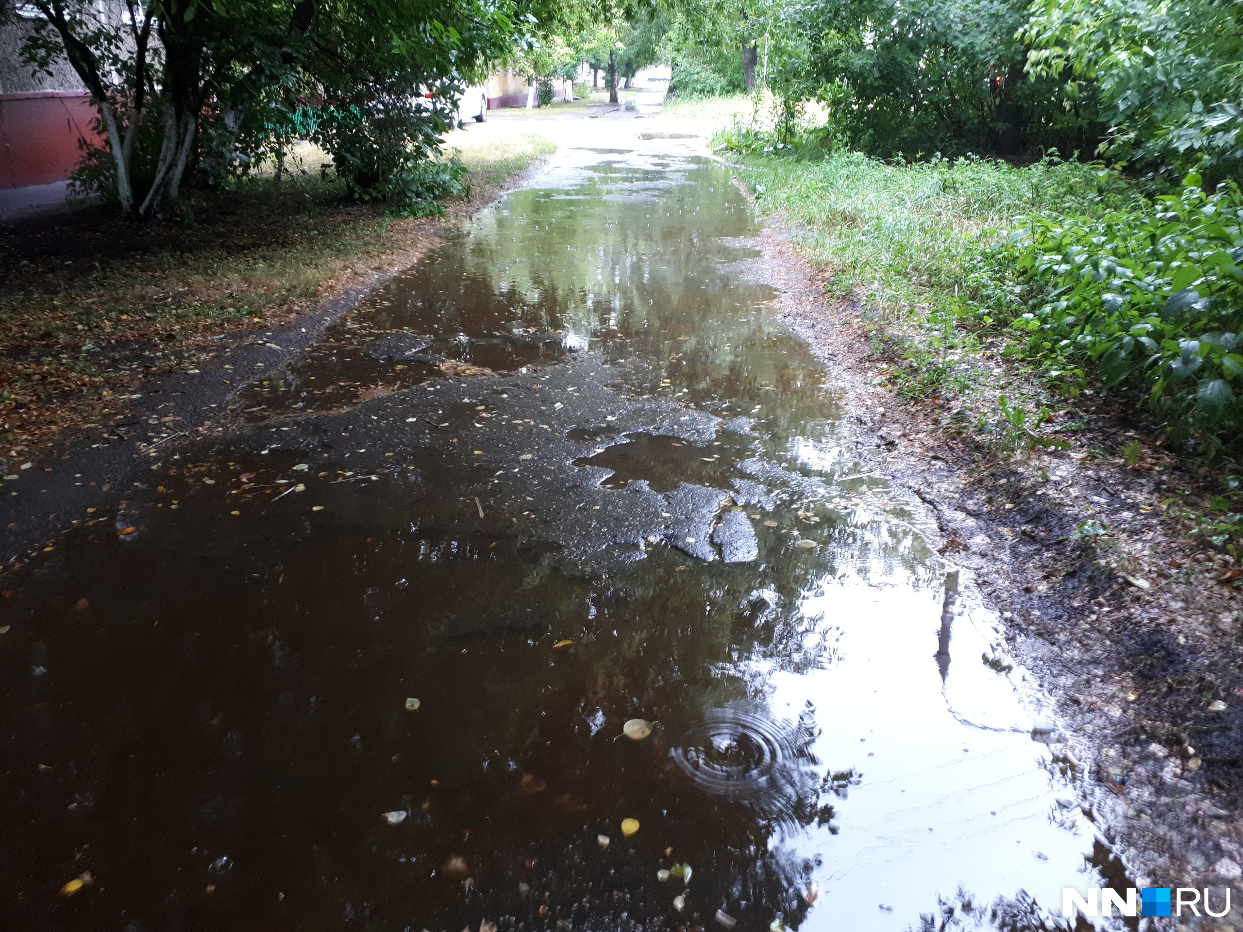 В каком городе сейчас дождь