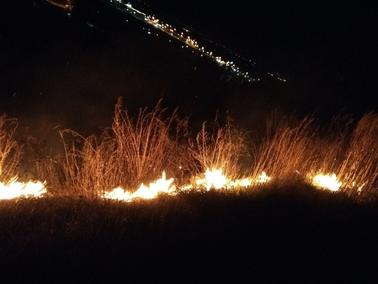 На возгорание травы новосибирские пожарные за сутки выезжали множество раз