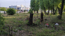 Челябинские чиновники спустя неделю объяснили, зачем вырубили деревья на Университетской Набережной