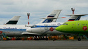 Новосибирская авиакомпания изменила своё название в поддержку сибирских лесов