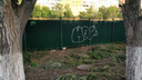 Владельцам самарских зданий грозят штрафами за граффити на фасадах