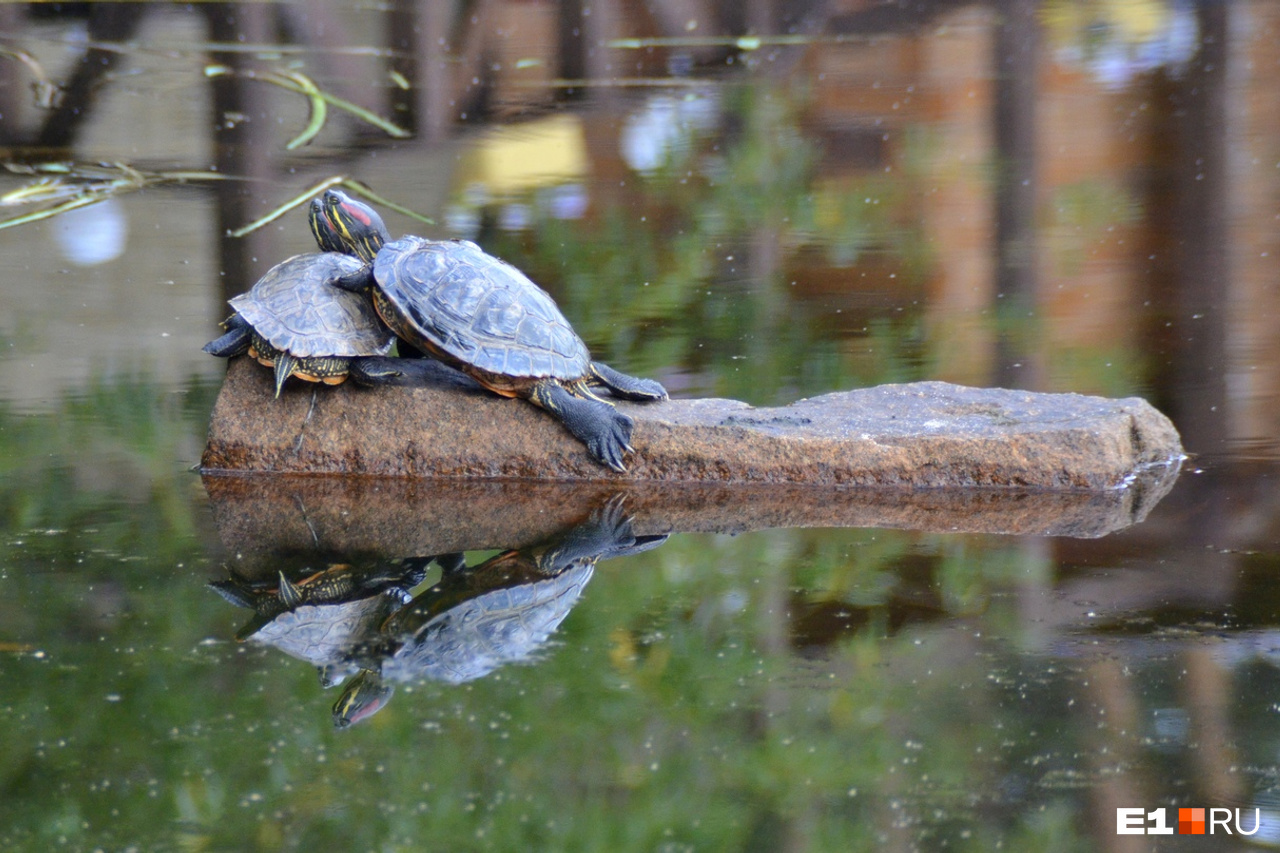 Плохая погода