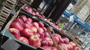 На крупном новосибирском рынке нашли тонну запрещённых яблок