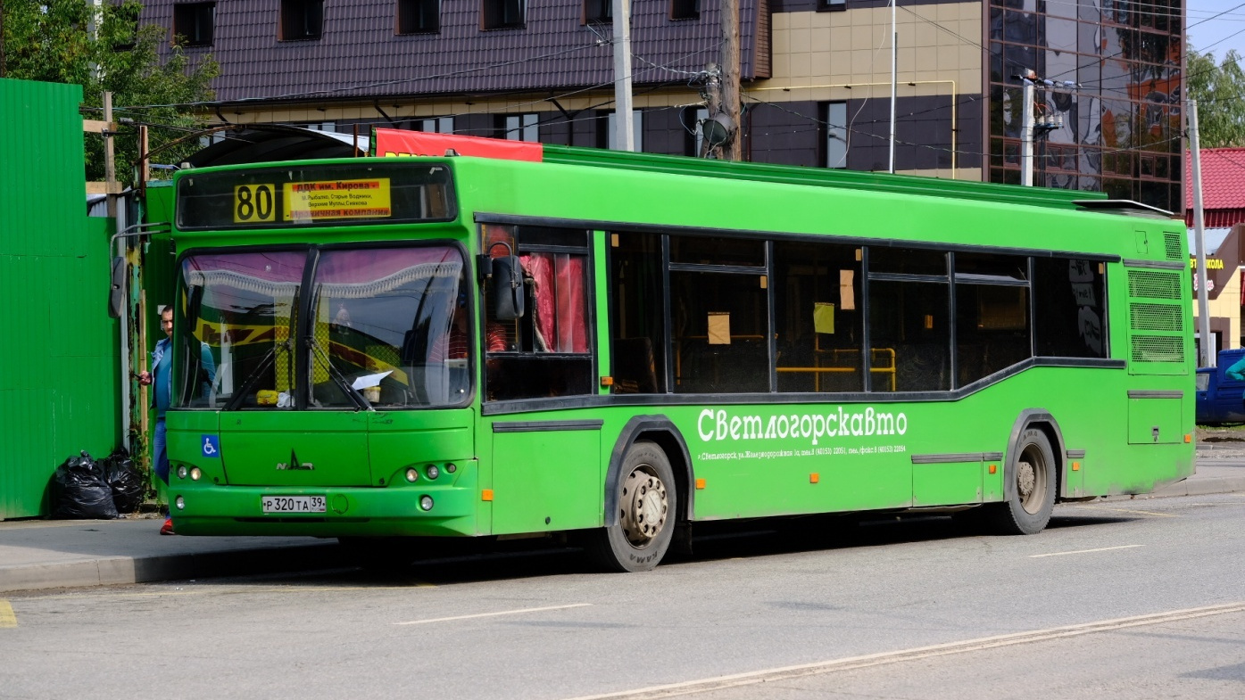 Работа автобус пермь. Автобусы Пермь. Зеленый автобус. Автобус МАЗ Пермь. Автобус 80.