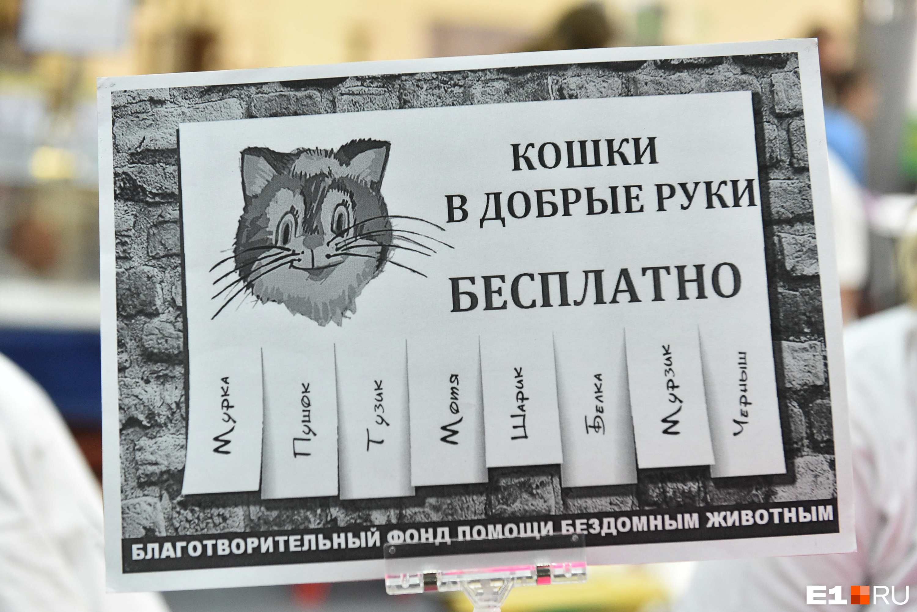 Здесь же неравнодушные могут приобрести питомца