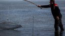 Начался весенний нерест: рыбалка на Оби попала под запрет