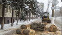 «Только за счёт штрафов от вырубки»: в Волгограде будут по новой финансовой схеме высаживать деревья