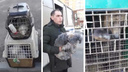 «Этого дрессировщика бы туда»: в челябинском «Академе» нашли автобус с медведем, лисами и енотами