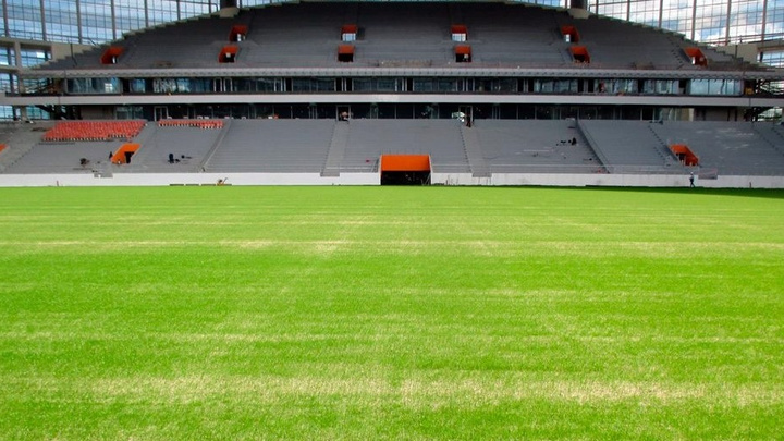 Травка взошла: на Центральном стадионе зазеленело футбольное поле