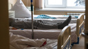 Три жителя Самарской области умерли от пневмонии