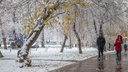 Январская жара: в Самарской области насчитали 10 температурных рекордов