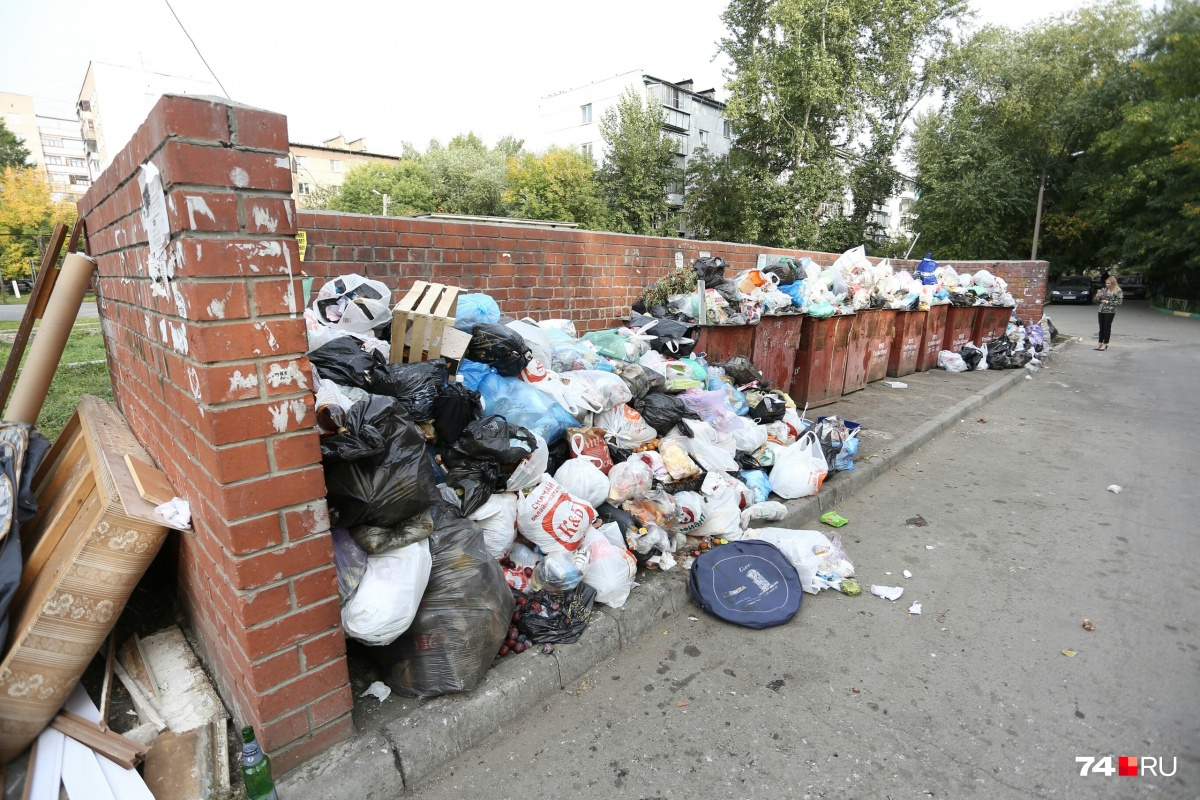 После закрытия свалки мусор не вывозили из дворов по две недели и больше После закрытия свалки мусор не вывозили из дворов по две недели и больше