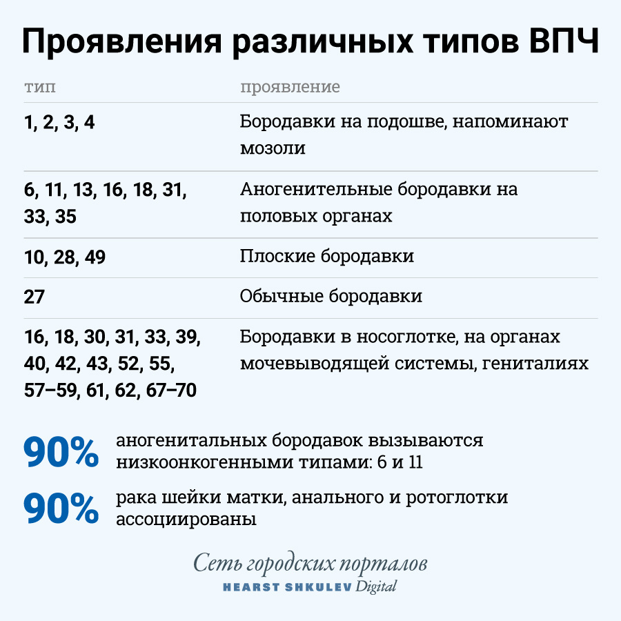 У каждого типа ВПЧ — своё проявление У каждого типа ВПЧ — своё проявление