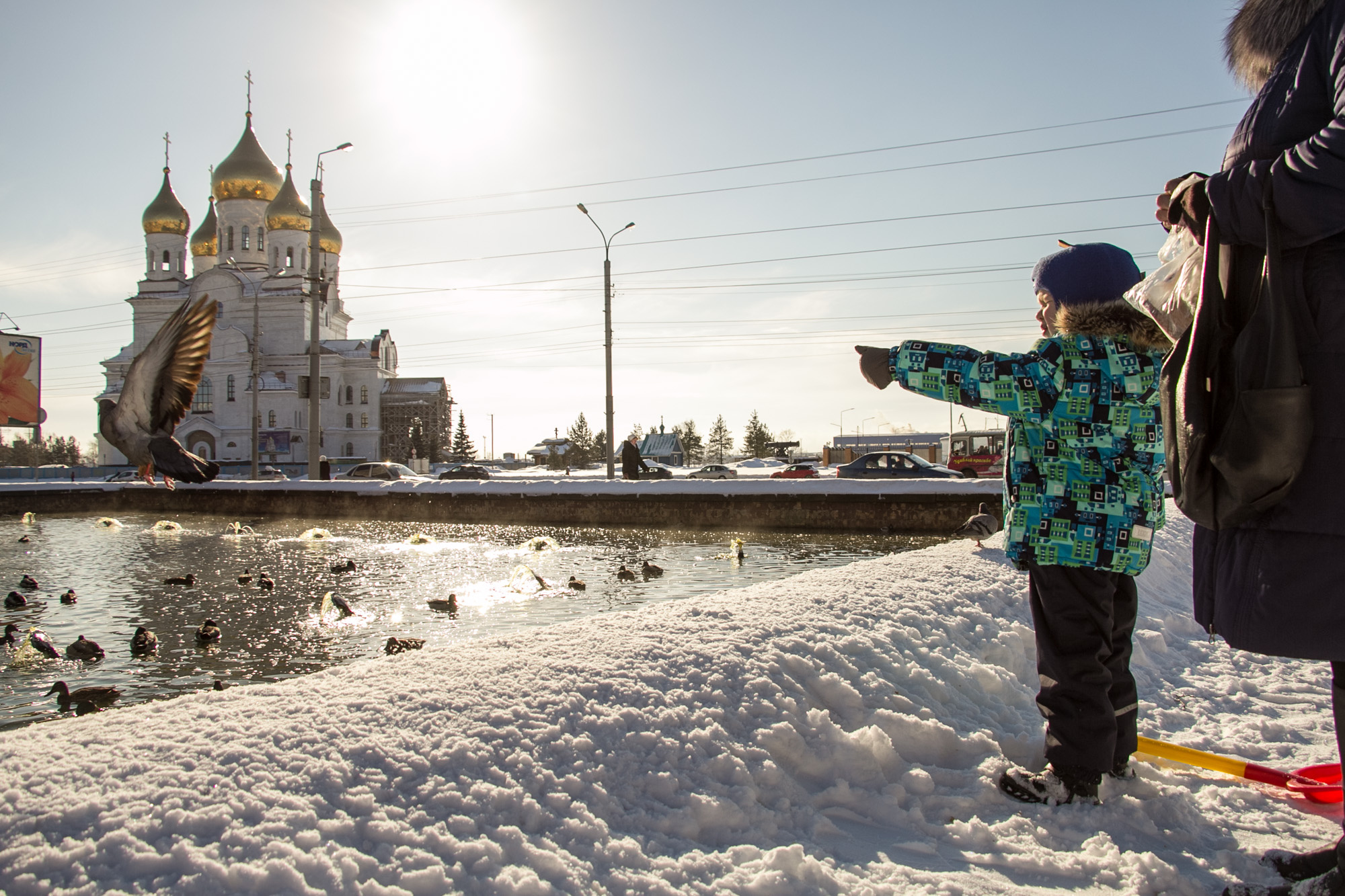 Меньше солнца — больше депрессий. Не пропускайте возможность прогуляться и «зарядиться» энергией в редкий солнечный зимний день в Архангельске