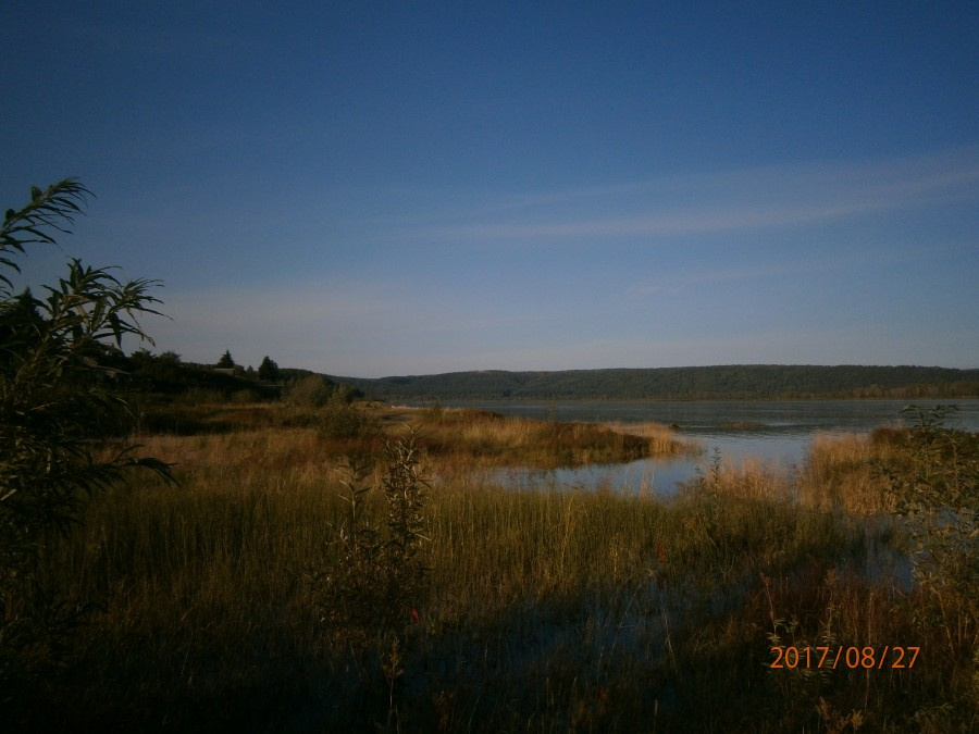Вид на воду в Павловщине Вид на воду в Павловщине
