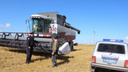 Двое на КАМАЗах украли 22 тонны пшеницы с поля и пытались сбежать от полиции
